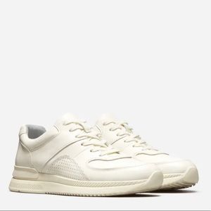 Everlane trainers